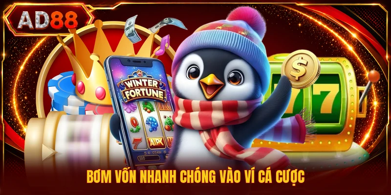 Bơm vốn nhanh chóng vào ví cá cược