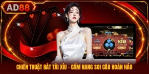 Chiến Thuật Bắt Tài Xỉu - Cẩm Nang Soi Cầu Hoàn Hảo
