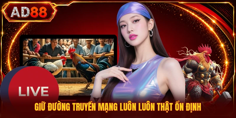 Giữ đường truyền mạng luôn luôn thật ổn định