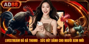 Livestream Đá Gà Thomo - Sức Hút Dành Cho Người Xem Mới