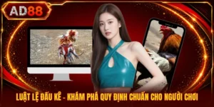 Luật Lệ Đấu Kê - Khám Phá Quy Định Chuẩn Cho Người Chơi