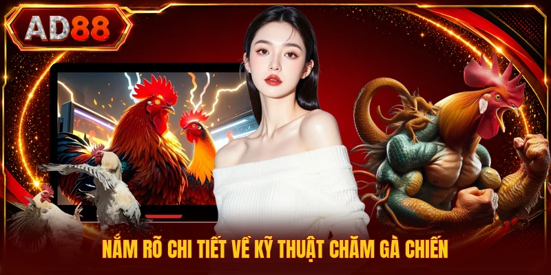 Nắm rõ chi tiết về kỹ thuật chăm gà chiến