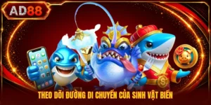 Theo dõi đường di chuyển của sinh vật biển