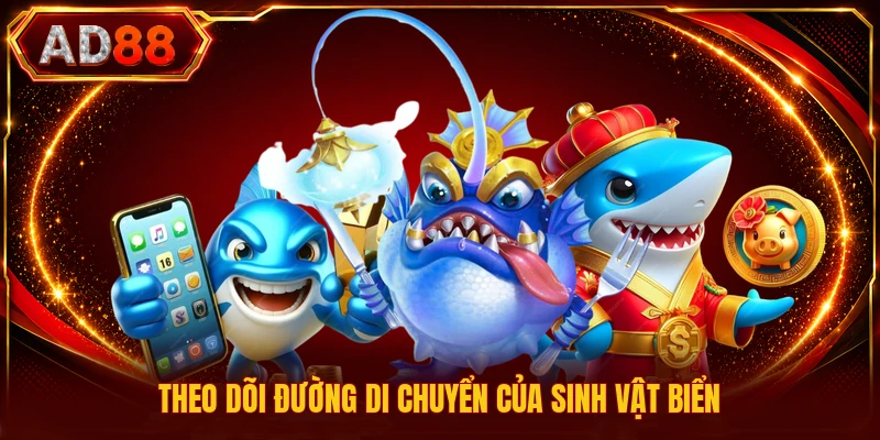 Theo dõi đường di chuyển của sinh vật biển