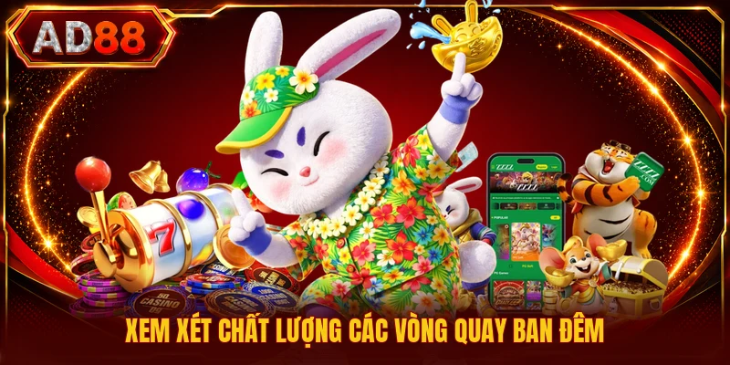 Xem xét chất lượng các vòng quay ban đêm